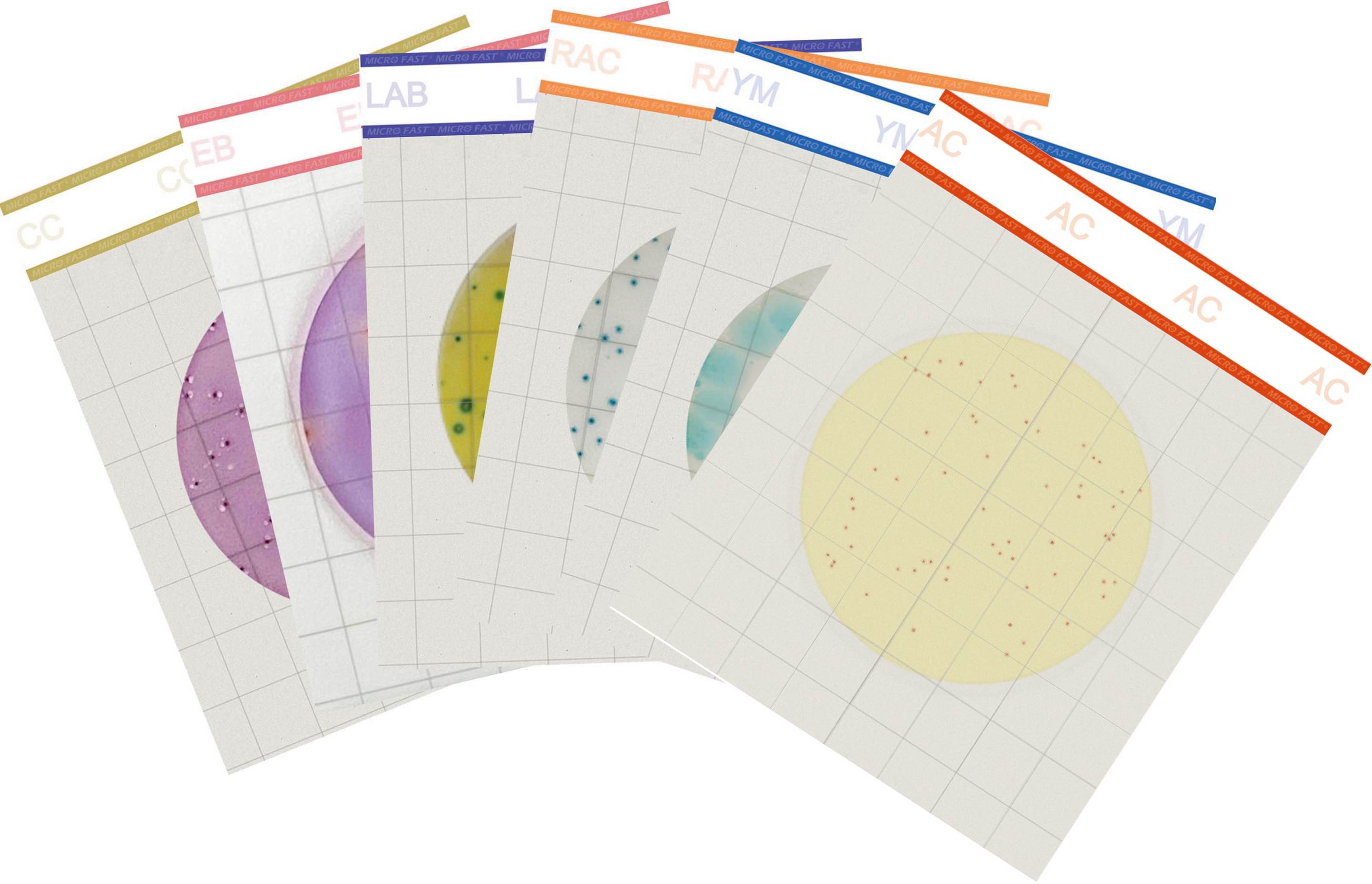 组合2.jpg 组合2.jpg