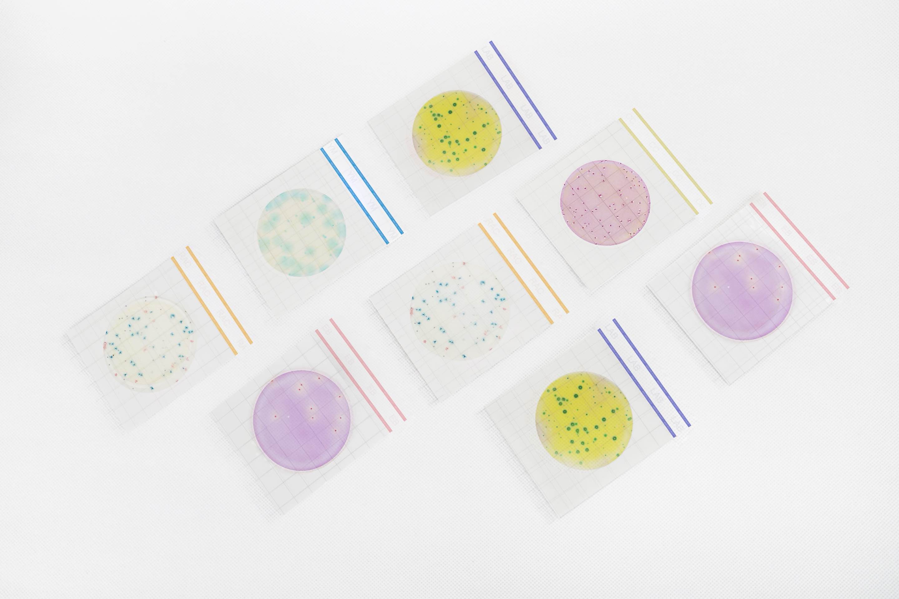 组合3.jpg 组合3.jpg