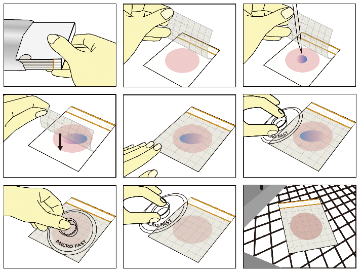 快速大肠菌群测试片