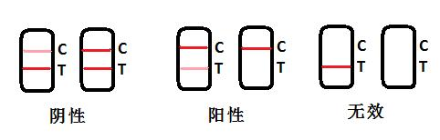 丁香酚快速检测卡 丁香酚快速检测卡